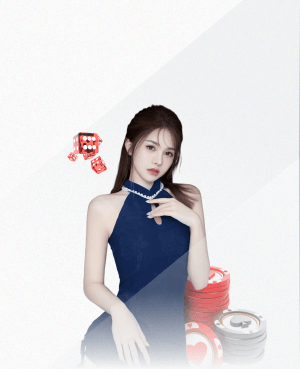 kingkong官网下载